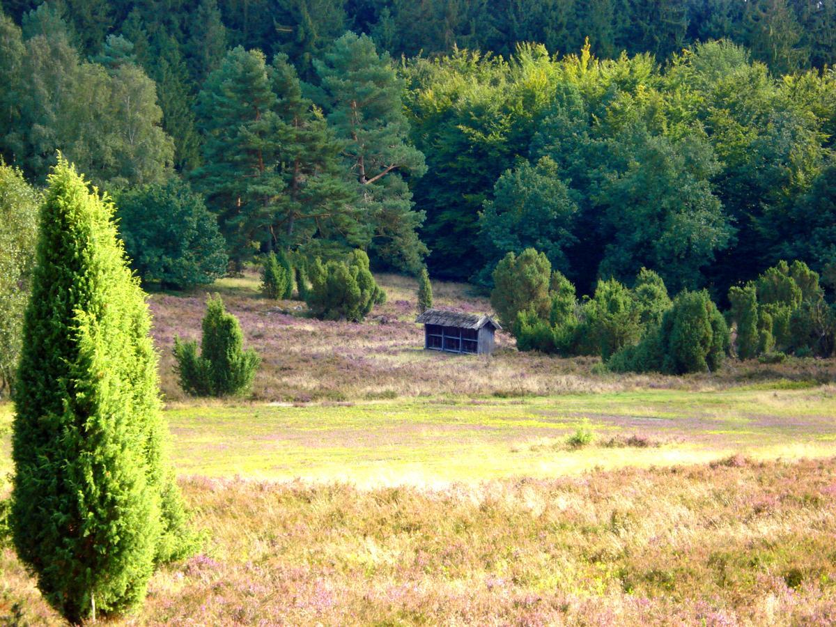 Hotel Landgasthaus Zum Naturschutzpark Bispingen Exterior foto